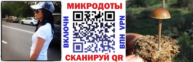 Галлюциногенные грибы Magic Shrooms  дарк нет как зайти  Зарайск  купить наркотики цена 